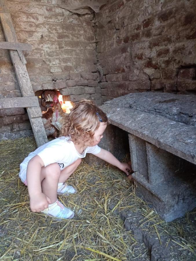 Gite A La Ferme Chez Magali Escaudoeuvres Kültér fotó