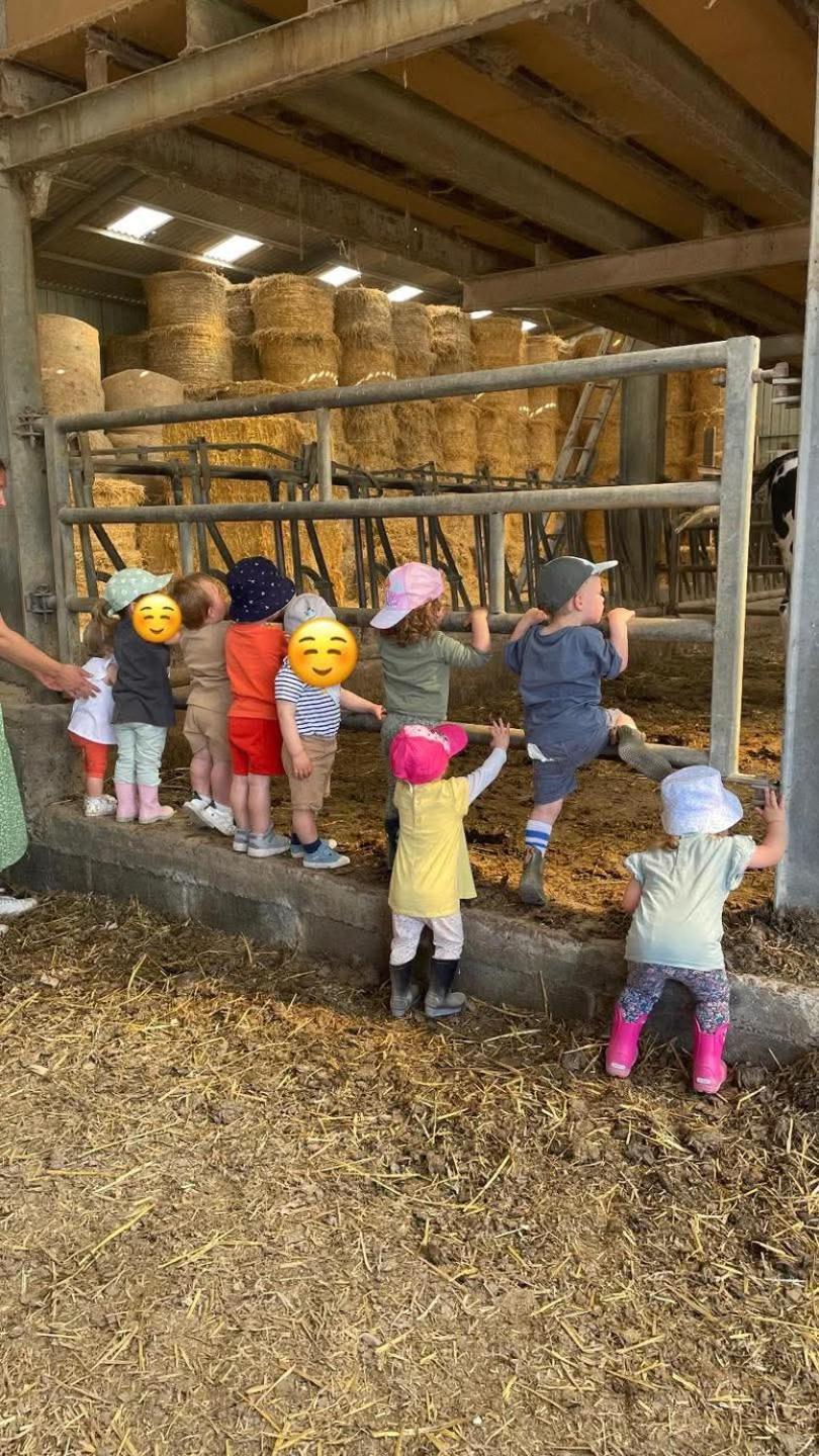 Gite A La Ferme Chez Magali Escaudoeuvres Kültér fotó